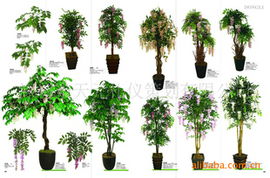 深圳市天元禮儀策劃公司 專(zhuān)業(yè)綠化苗木產(chǎn)品與一站式禮儀服務(wù)